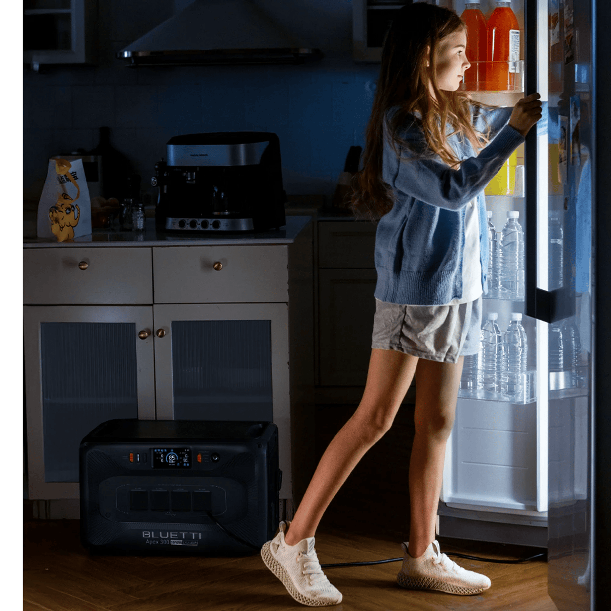 BLUETTI Apex300 Tragbare Powerstation I 3840W 2764,8Wh - SEV